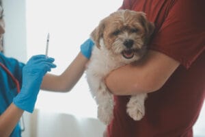 puppy vaccine schedule,