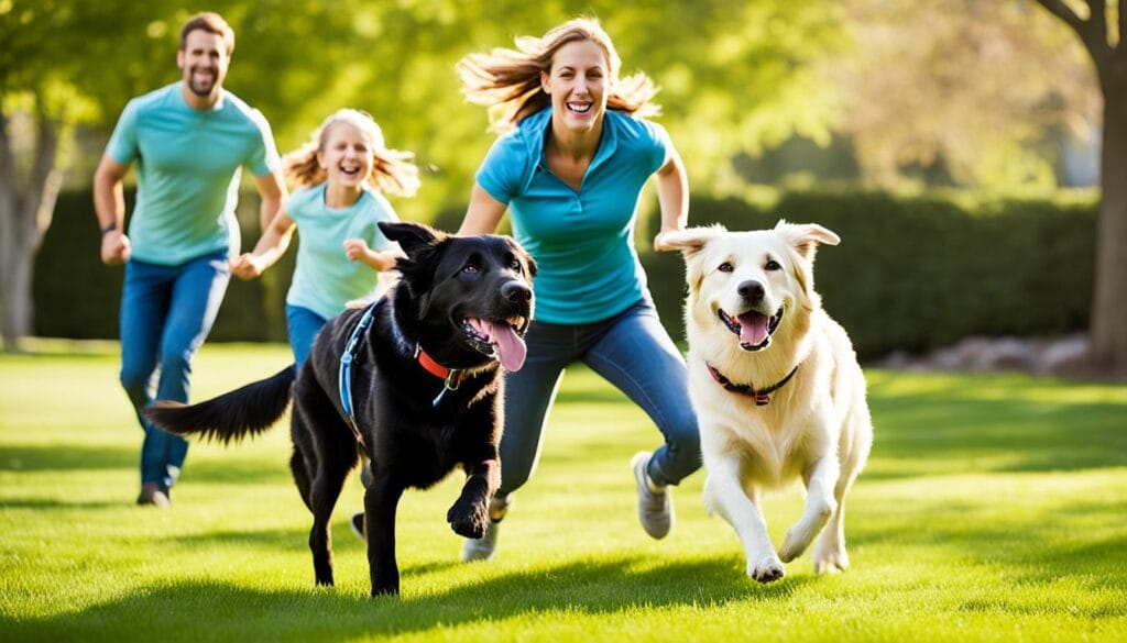 Labrador best cross,