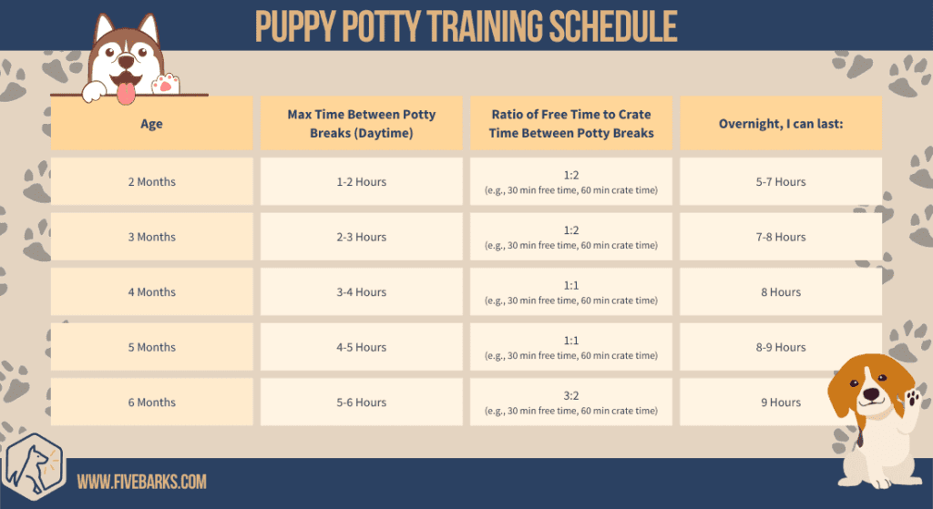Developing a Crate Training Schedule 1