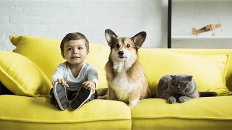 Ultimate Pet Guide: Care Tips & Advice 73 Pet guide