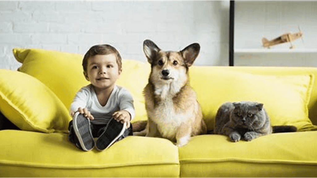 Ultimate Pet Guide: Care Tips & Advice 1 Pet guide