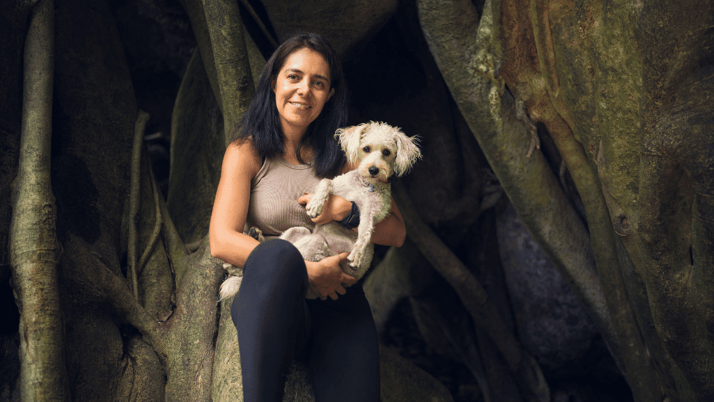 senior dog veterinary care