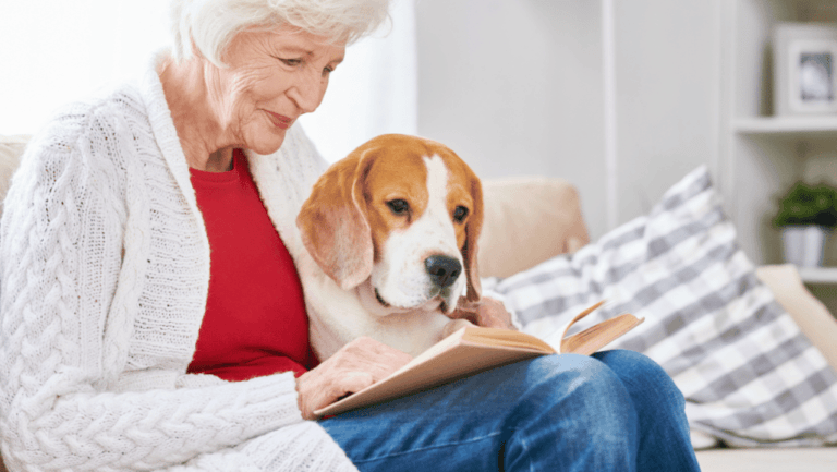 Seasonal Care Dogs: Tips for Year-Round Health 13 Seasonal Care dogs
