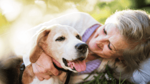 Senior Dog Care