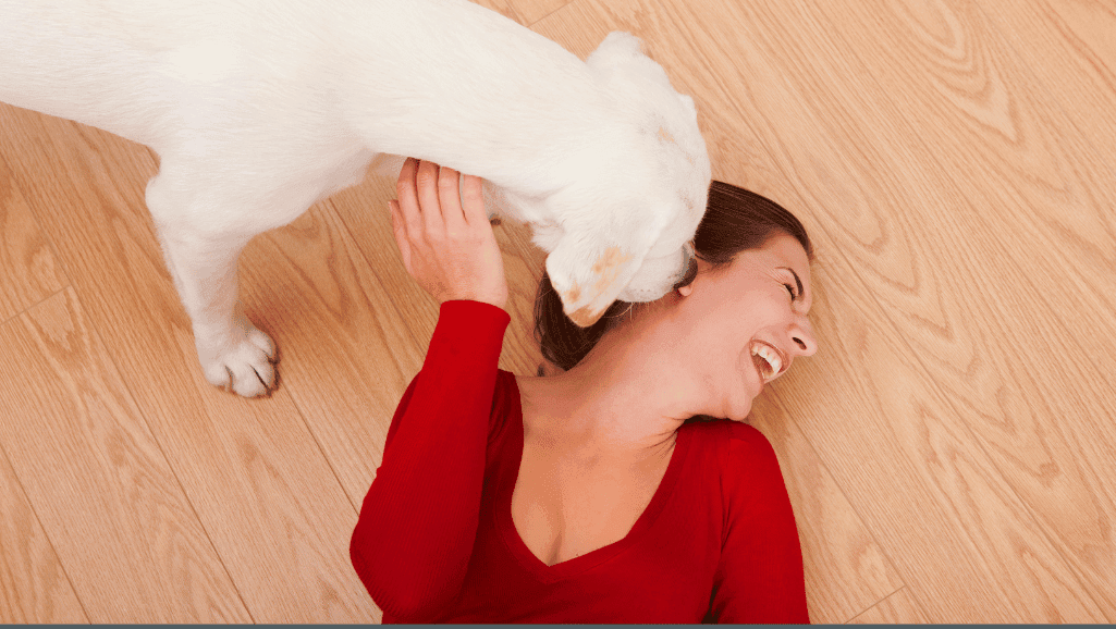 Understanding Why Dogs Lick Your Face 1 why do dogs lick your face