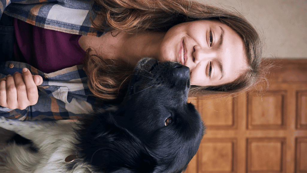 why do dogs lick your face