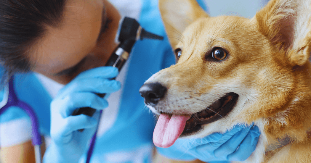 Modern Business Marketing Agency Facebook Cover Facebook Post Landscape 18