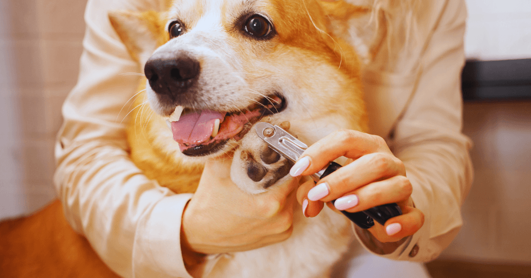 Modern Business Marketing Agency Facebook Cover Facebook Post Landscape 21