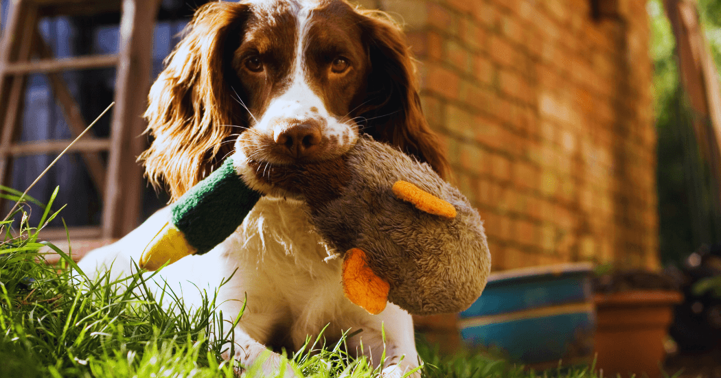 Modern Business Marketing Agency Facebook Cover Facebook Post Landscape 24