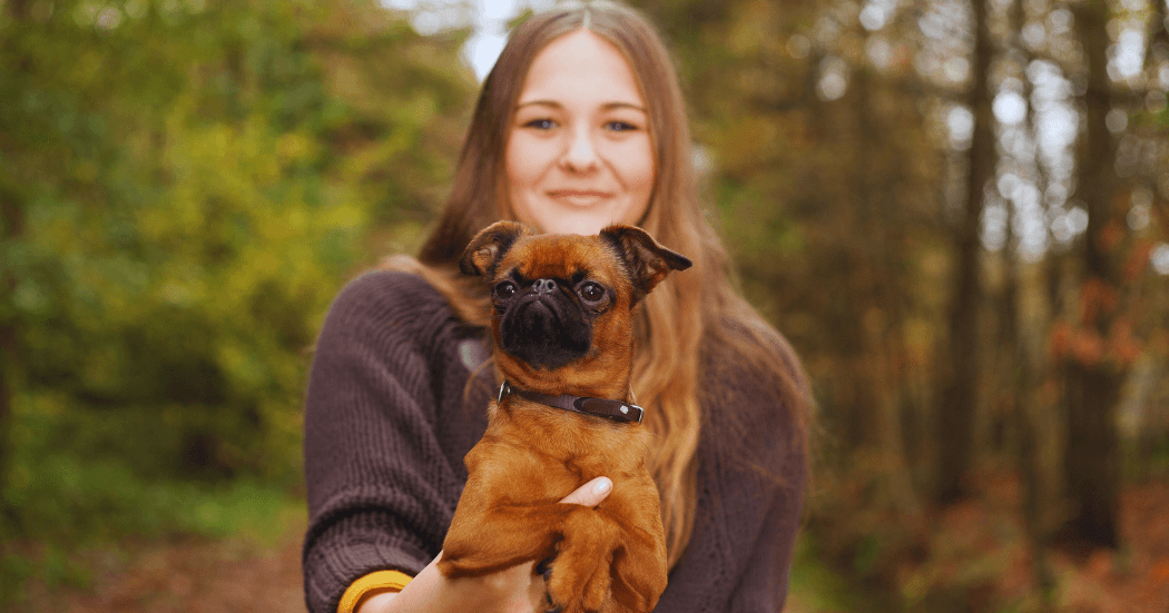 Dog Seizure Causes: Identifying Underlying Issues 1 Modern Business Marketing Agency Facebook Cover Facebook Post Landscape 8