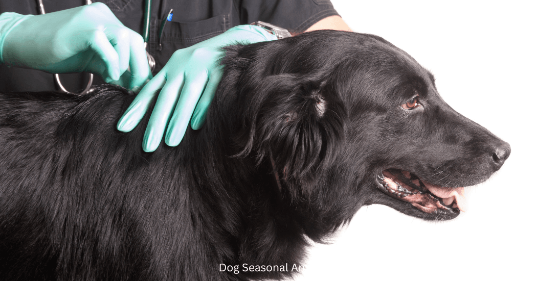 The Importance of Seasonal Canine Vaccinations 1 Seasonal Canine Vaccinations