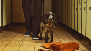 Canine Melanoma Detection