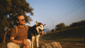 Is cantaloupe good for dogs,