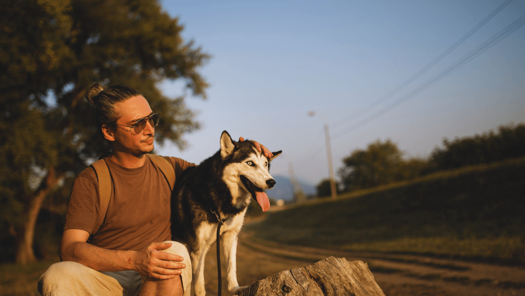 Is cantaloupe good for dogs,