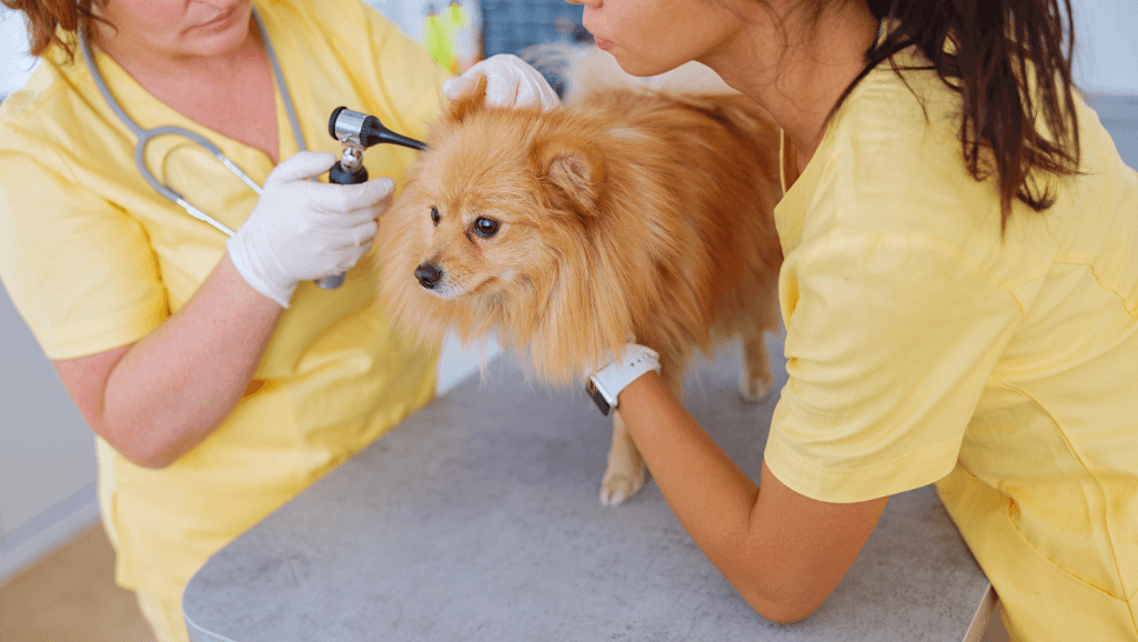 Routine inspections