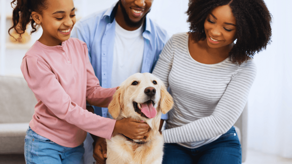 Golden Retriever playing with a family