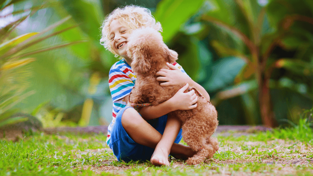 friendly bulldogs playing with children