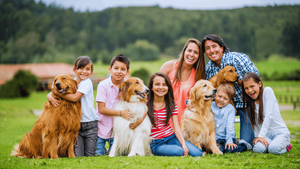 Best Family Dogs: Top Breeds for Your Home 1 best family dogs