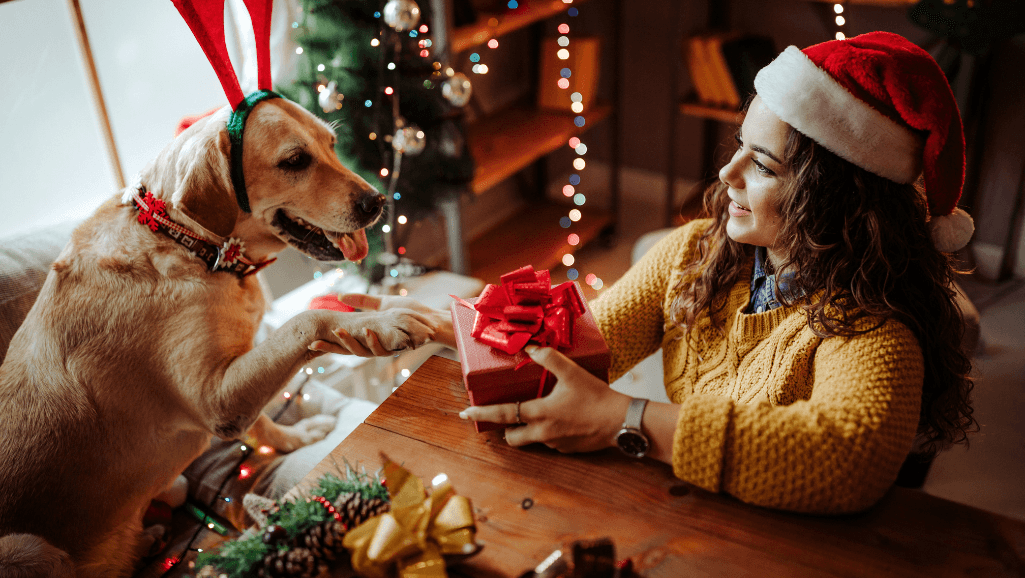 Adorable puppy gifts for every occasion