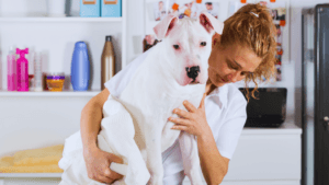 Canine Degenerative Myelopathy