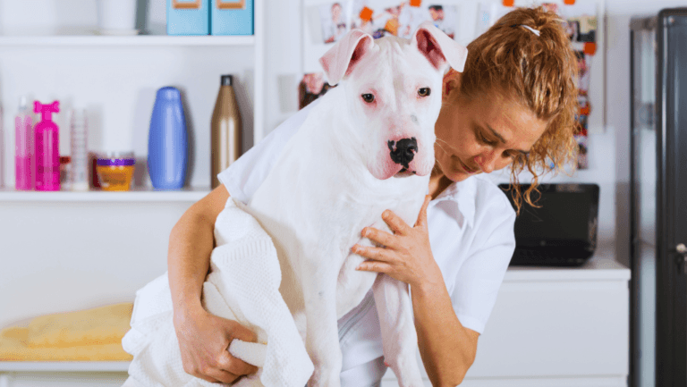 Managing Canine Degenerative Myelopathy 43 Canine Degenerative Myelopathy