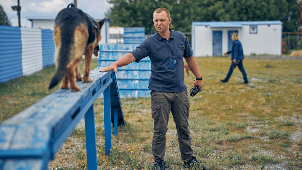 Canine scent detection training