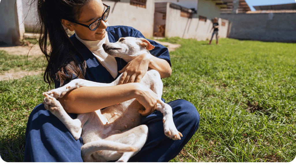 Certified animal behaviorist working with a dog