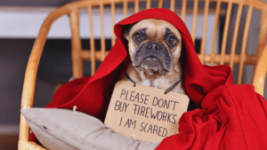 Dog Heart Failure Signs