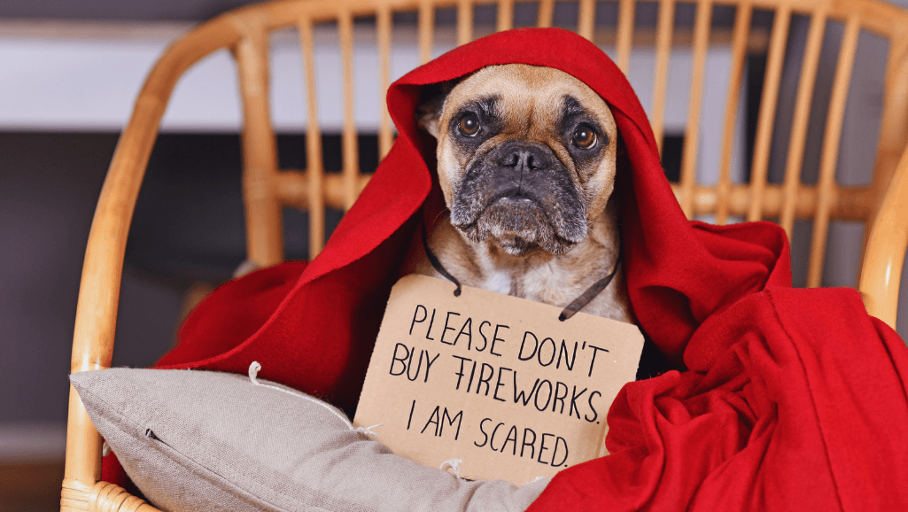 Dog Heart Failure Signs