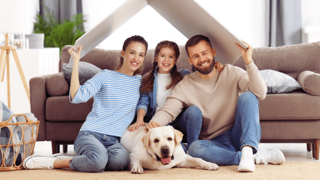 Essential puppy supplies for new dog owners