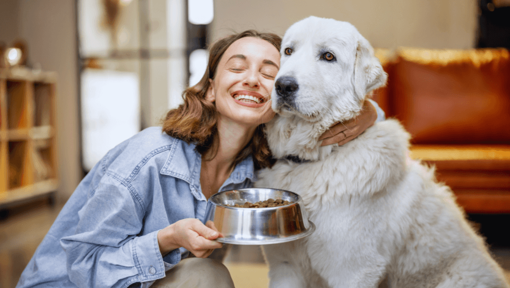 Feeding Low Fat High Fiber Dog Food
