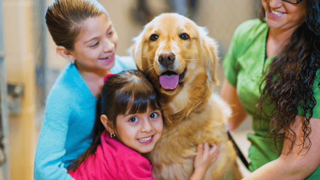 Happy hound dog adoption success stories