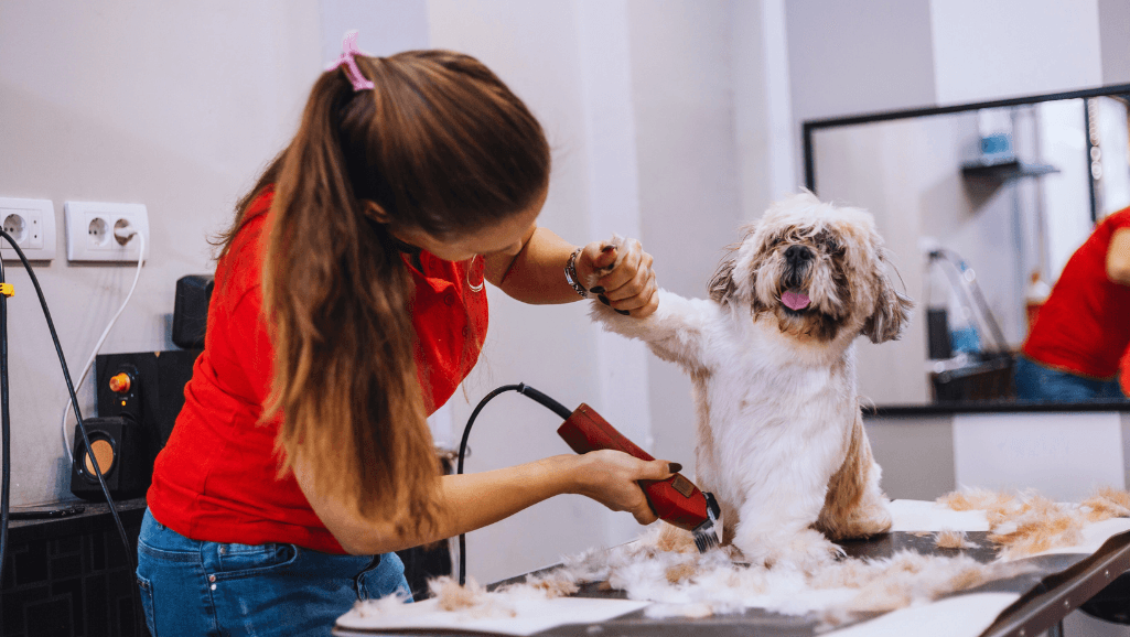 Maintaining quiet dog grooming clippers with blade guards and clipper blade coolant