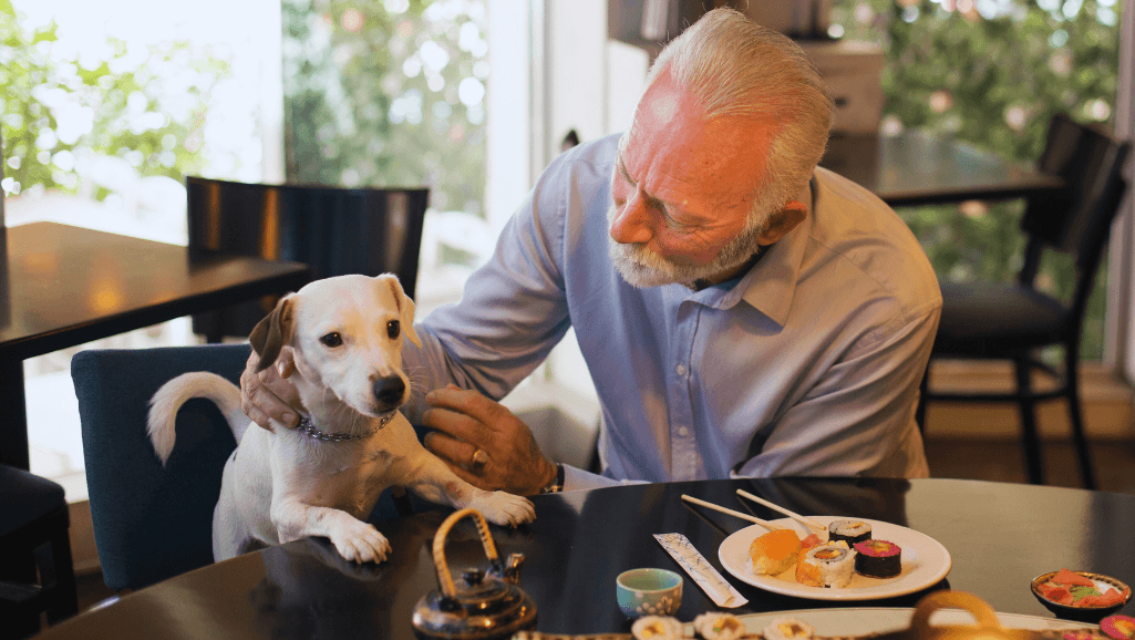 Pet Friendly Restaurants