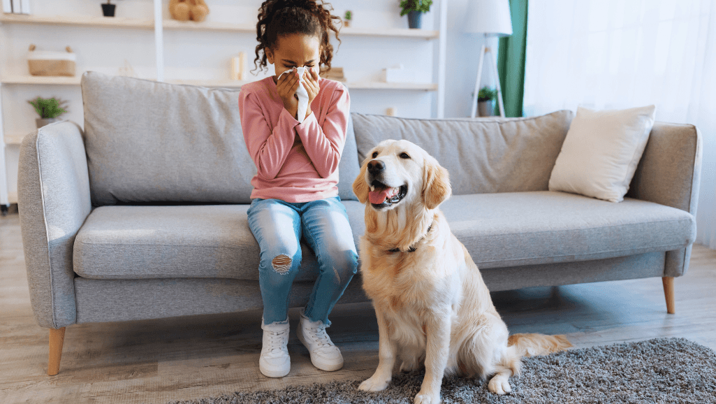 canine seasonal allergies