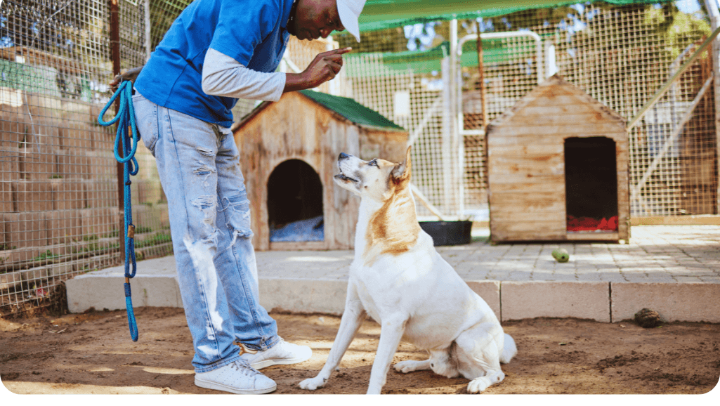 career paths for dog trainers