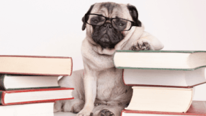 dog training books