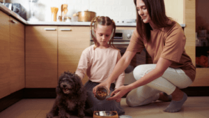 how to toilet train a puppy in 7 days