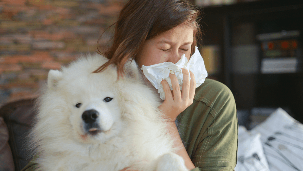 organic dog food allergy