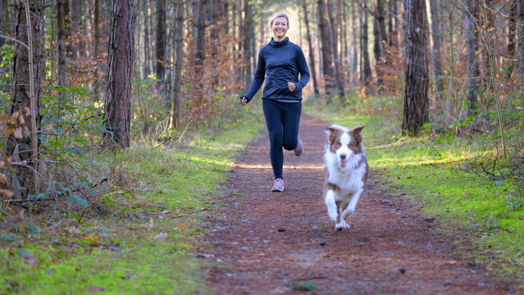 AKC FIT DOG Program