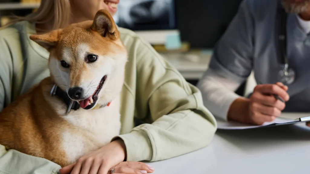 Benefits of Veterinary Consultation
