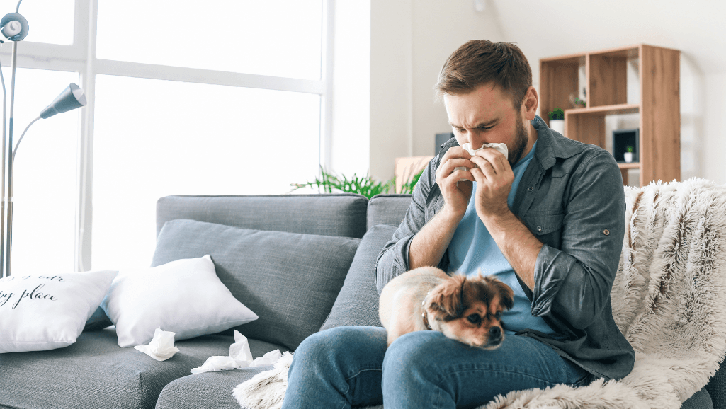 Canine Allergy Management