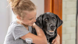 Canine Diabetes Management