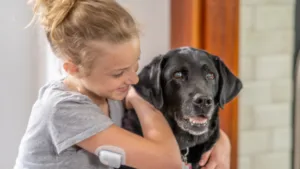 Canine Diabetes Management