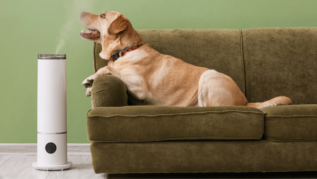 Home Remedies for Dog Breathing Problems