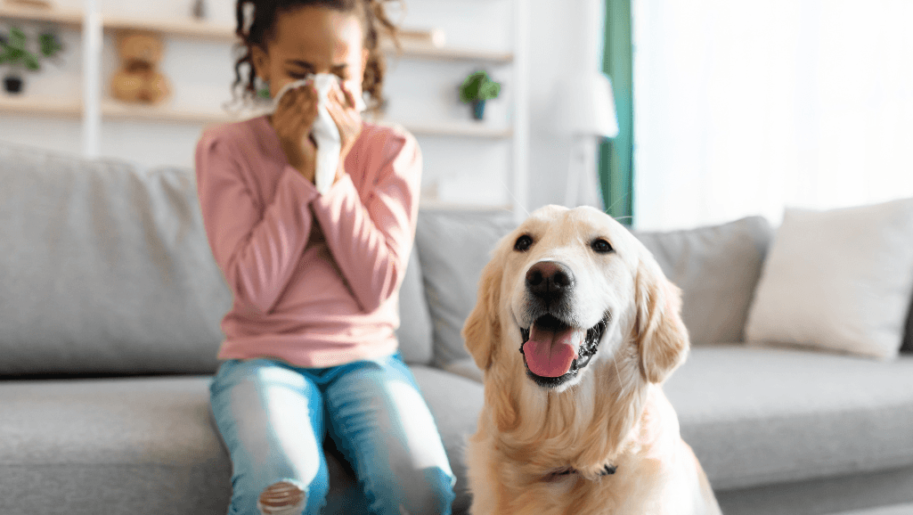 Preventing Dog Allergies