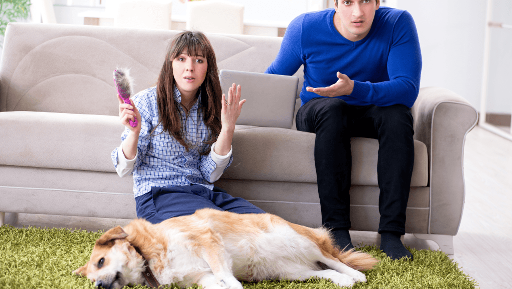 Seasonal Allergies in Dogs