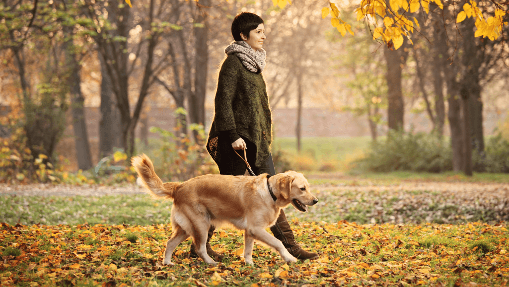 Walking