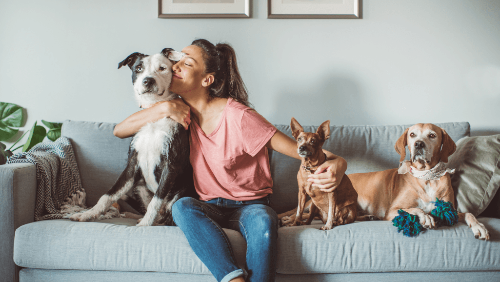 caregiver stress and pet grief support