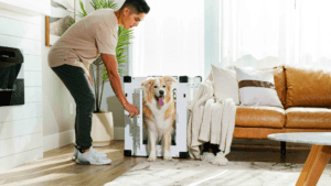 dog crate in house